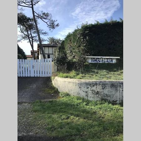 Maison A 300M De La Plage, Quartier Calme Mimizan-Plage Eksteriør bilde