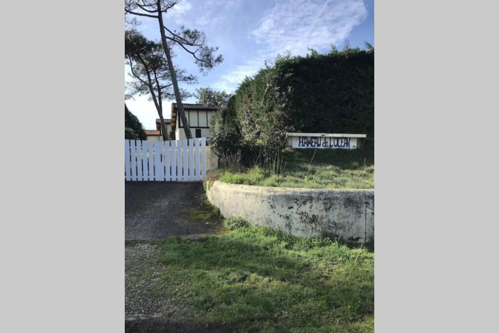 Maison A 300M De La Plage, Quartier Calme Mimizan-Plage Eksteriør bilde